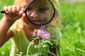 Das Foto zeigt ein kleines Mädchen, das durch eine Lupe eine Blüte betrachtet