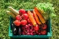 Das Foto zeigt eine Kiste mit verschiedenem Gemüse, darunter Wurzeln, Tomaten, Auberginen, Salat, Zucchini und Zweibeln.