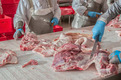 Das Foto zeigt die Hände von Arbeiterm in der Fleischindustrie, die am Fließband Fleischstücke zerteilen