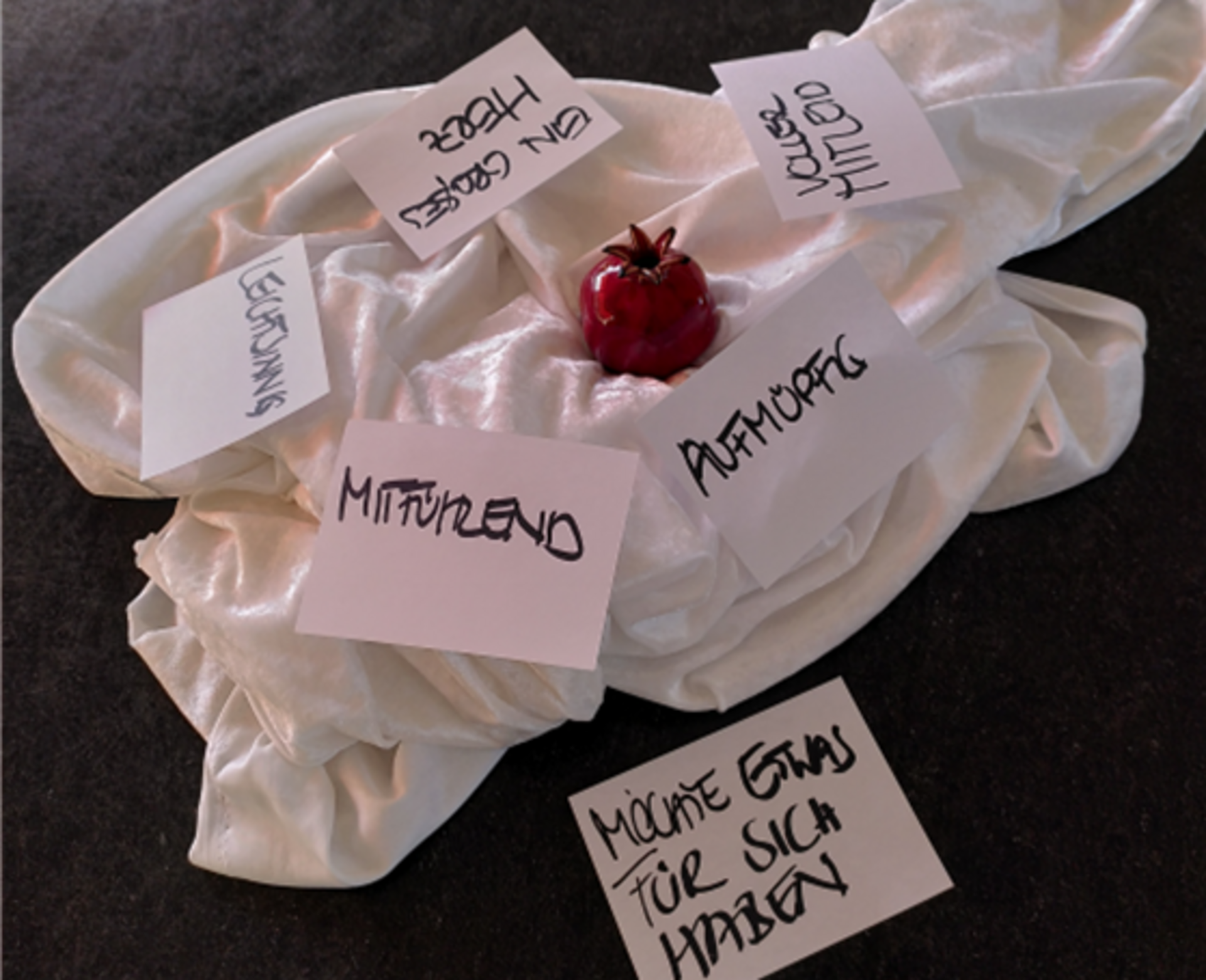 Auf einem weißen, samtigen Stoff liegt eine rote, glänzende Apfel. Um den Apfel sind mehrere weiße Zettel mit handgeschriebenen Begriffen angeordnet, darunter "Leidenschaft", "Mitgefühl", "Aufgeschlossenheit" und "Möchte etwas für sich haben". Die Botschaft thematisiert persönliche Werte und Wünsche.