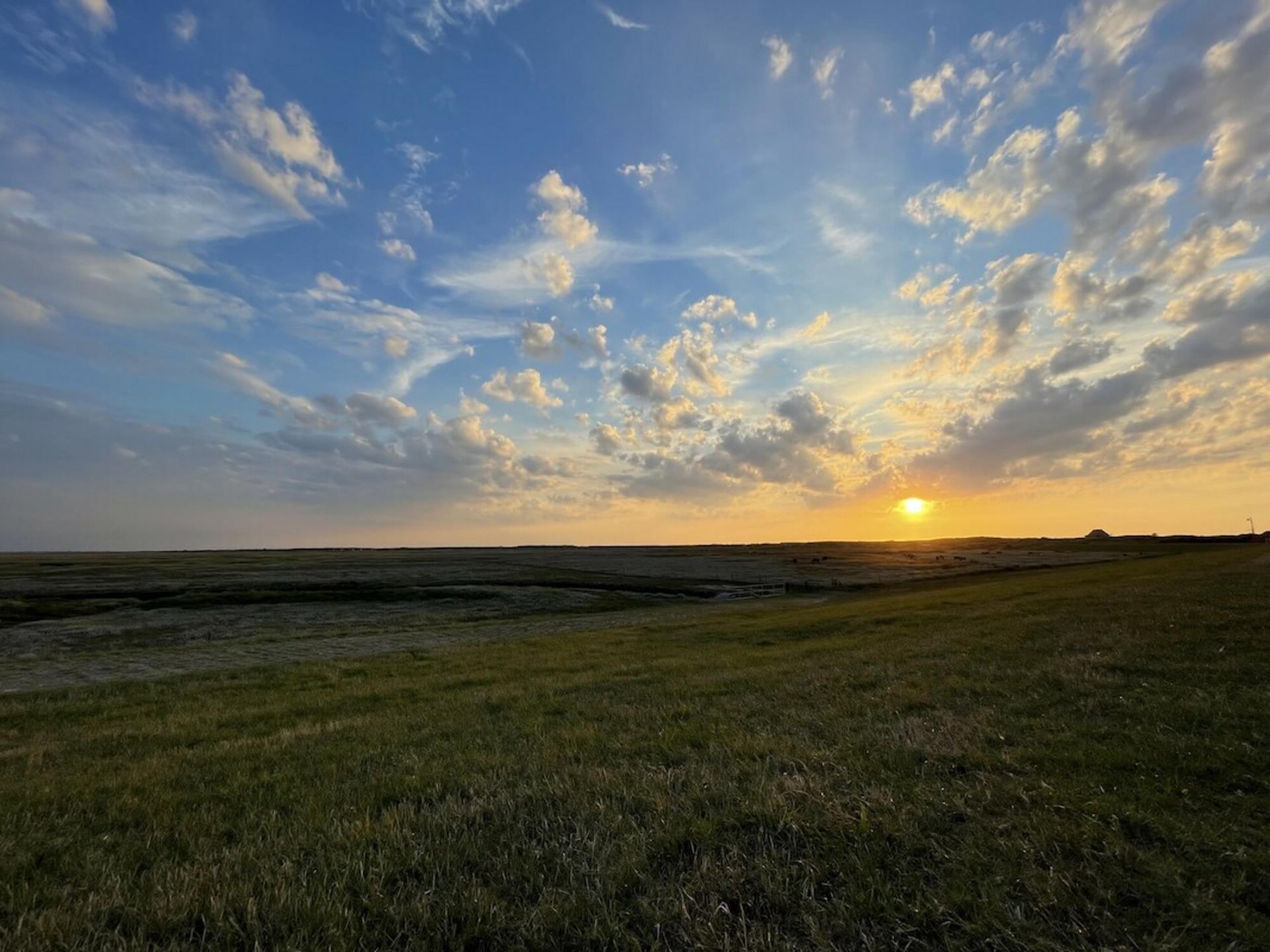 Ein weites Landschaftsbild zeigt eine grüne Wiese, die sanft ansteigt. Im Hintergrund geht die Sonne am Horizont unter, gefolgt von einem bunten Himmel mit Wolken. Die Szene strahlt Ruhe und Naturschönheit aus.