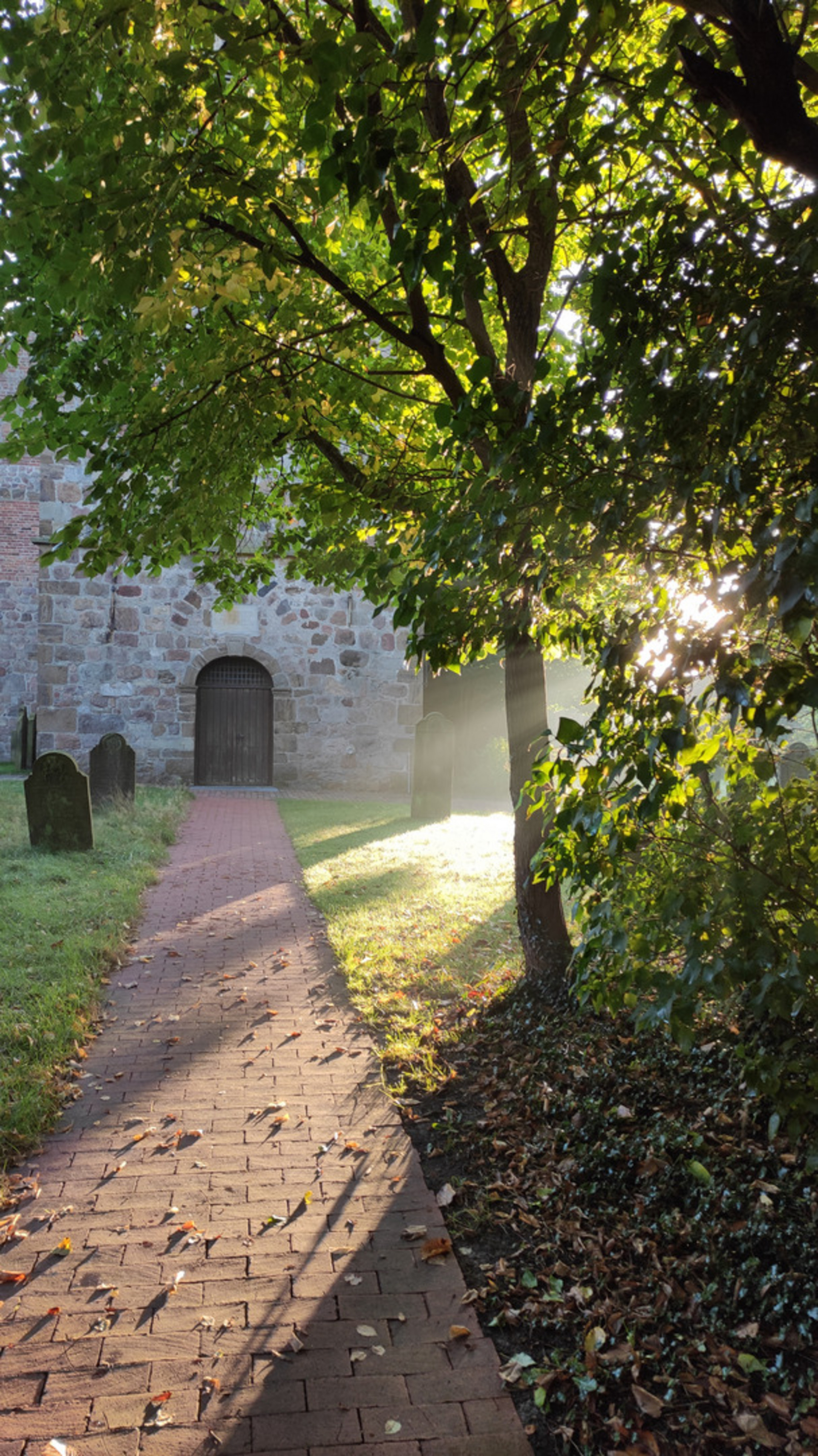 Ein gepflasterter Weg führt zu einer alten Steinkirche, die mit Bäumen umgeben ist. Das Licht der Morgensonne scheint durch die Blätter, während der Boden teilweise mit Laub bedeckt ist. Die Szenerie vermittelt eine ruhige, friedliche Atmosphäre.