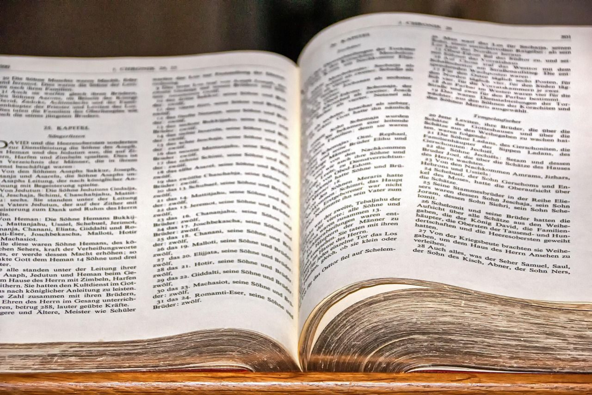 Ein geöffnetes Buch zeigt auf den Seiten Text in deutscher Sprache. Die Buchseiten sind gut lesbar, mit vielen Zeilen, die zu einem Kapitel über David gehören. Die Seiten sind leicht vergilbt und die Buchränder sind abgerundet.