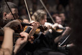Eine Gruppe von Musikern spielt Violinen in einem Konzertsaal. Die Hände der Musiker sind auf die Instrumente gerichtet und konzentrieren sich auf das Spiel. Die Atmosphäre vermittelt ein Gefühl von musikalischer Harmonie und Zusammenarbeit.