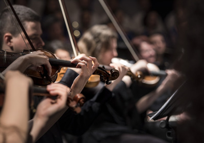 Eine Gruppe von Musikern spielt Violinen in einem Konzertsaal. Die Hände der Musiker sind auf die Instrumente gerichtet und konzentrieren sich auf das Spiel. Die Atmosphäre vermittelt ein Gefühl von musikalischer Harmonie und Zusammenarbeit.
