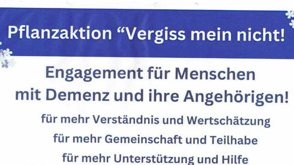 Projektbeschreibung Vergiss mein nicht