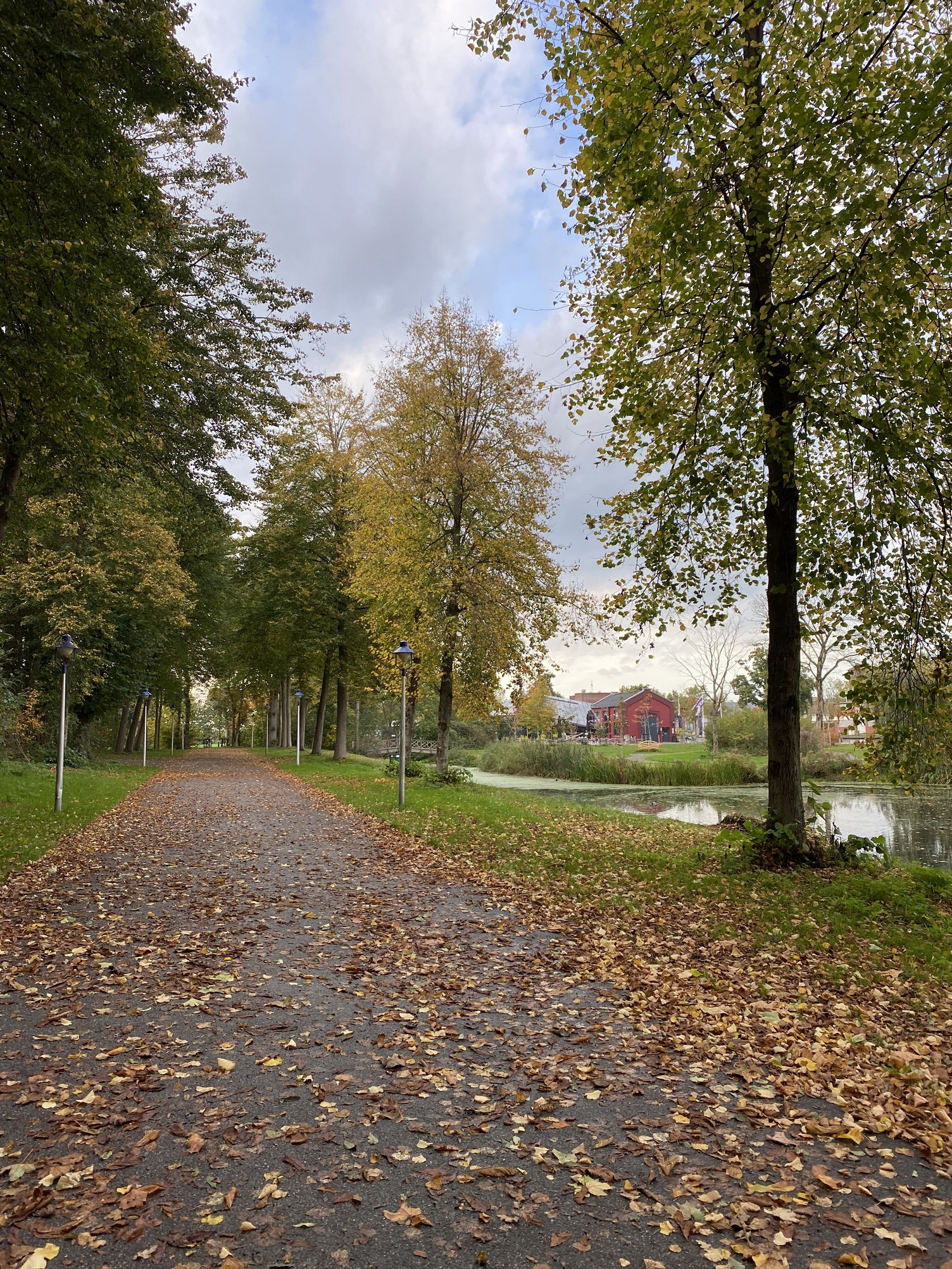 Ein kleiner Weg durch einen Park der mit gelbem Laub bedeckt ist. In der Ferne kann man einen kleinen See sehen.