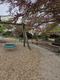 Ein Spielplatz mit einer großen, runden Schaukel und einer klassischen Schaukel aus Holz. Im Hintergrund sind Bänke und ein Spielbereich sichtbar. Über dem Spielplatz befinden sich Blütenzweige eines Baumes. Der Boden ist mit Holzspänen bedeckt.