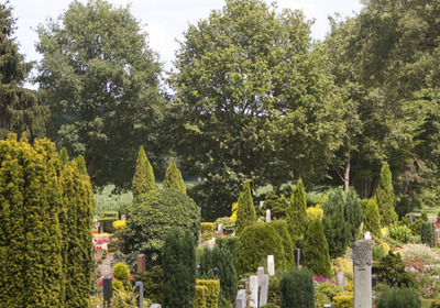 Grabsteine auf dem Friedhof