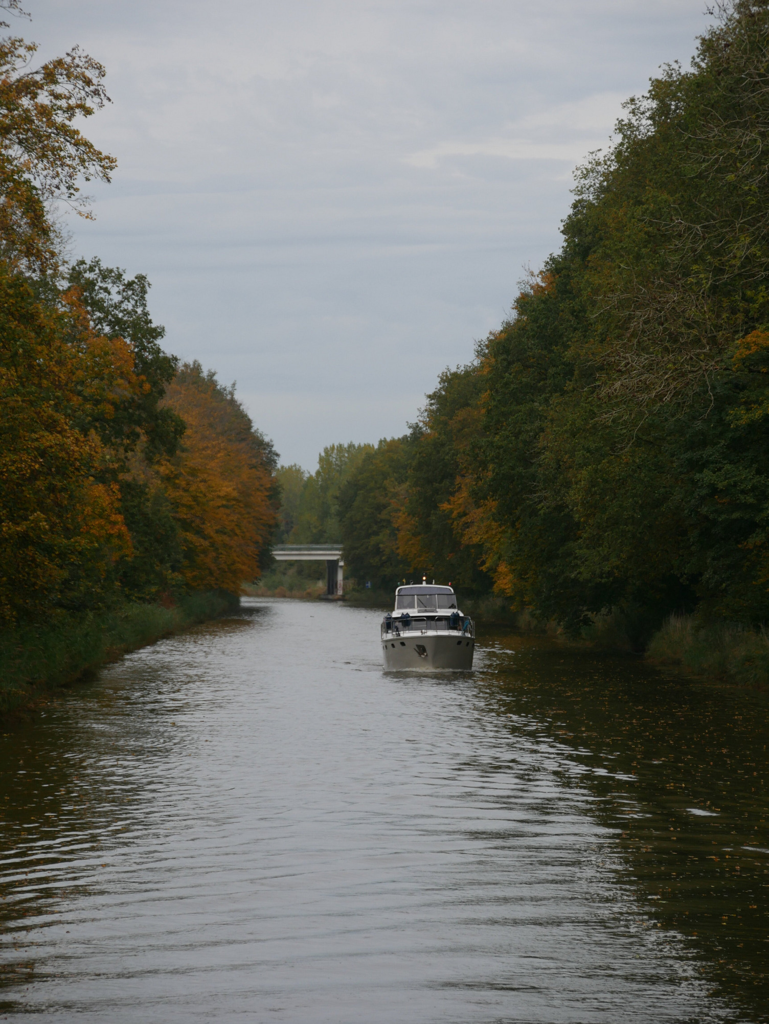 In der Entfernung sieht man ein Boot auf einem Kanal, der von herbstlich gefärbten Bäumen gesäumt wird.