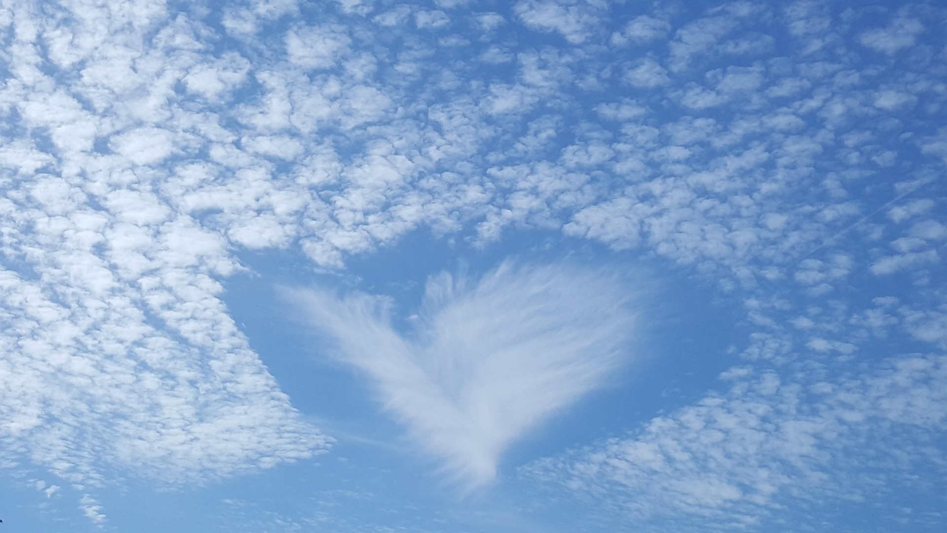 Ein klarer Himmel mit vielen kleinen, weißen Wolken, in dessen Mitte eine herzförmige Wolke schwebt. Diese Wolke sieht aus wie ein stilisiertes Herz und hebt sich deutlich vom blauen Hintergrund ab.