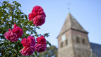 Blumen mit einem Kirchgebäude im Hintergrund