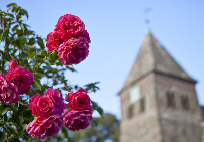 Blumen mit einem Kirchgebäude im Hintergrund