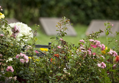 Blumen und Pflanzen auf dem Friedhof
