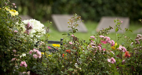 Blumen und Pflanzen auf dem Friedhof