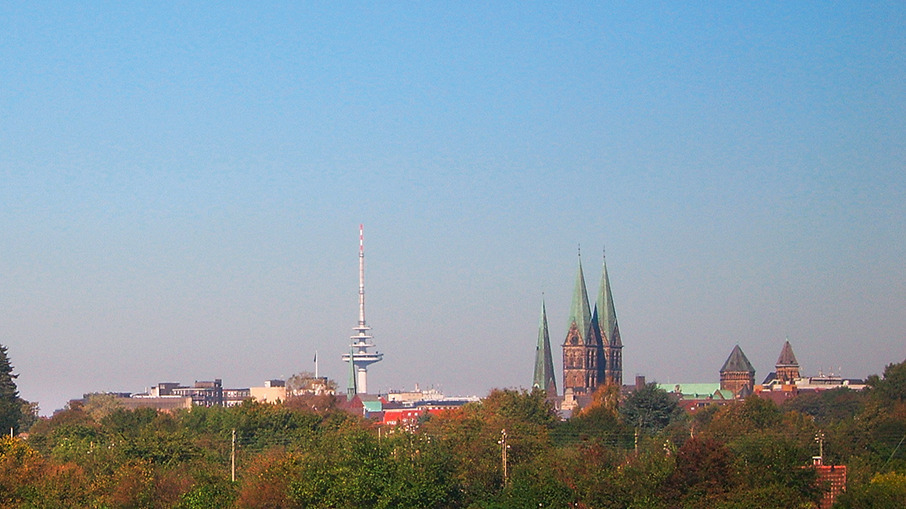 Grünflächen und Bäume am Weserufer mit dem Bremer Dom und weiteren Gebäuden am Horizont.