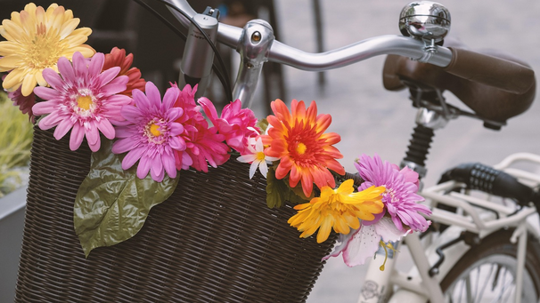Mit Blumen geschmückter Fahrradkorb