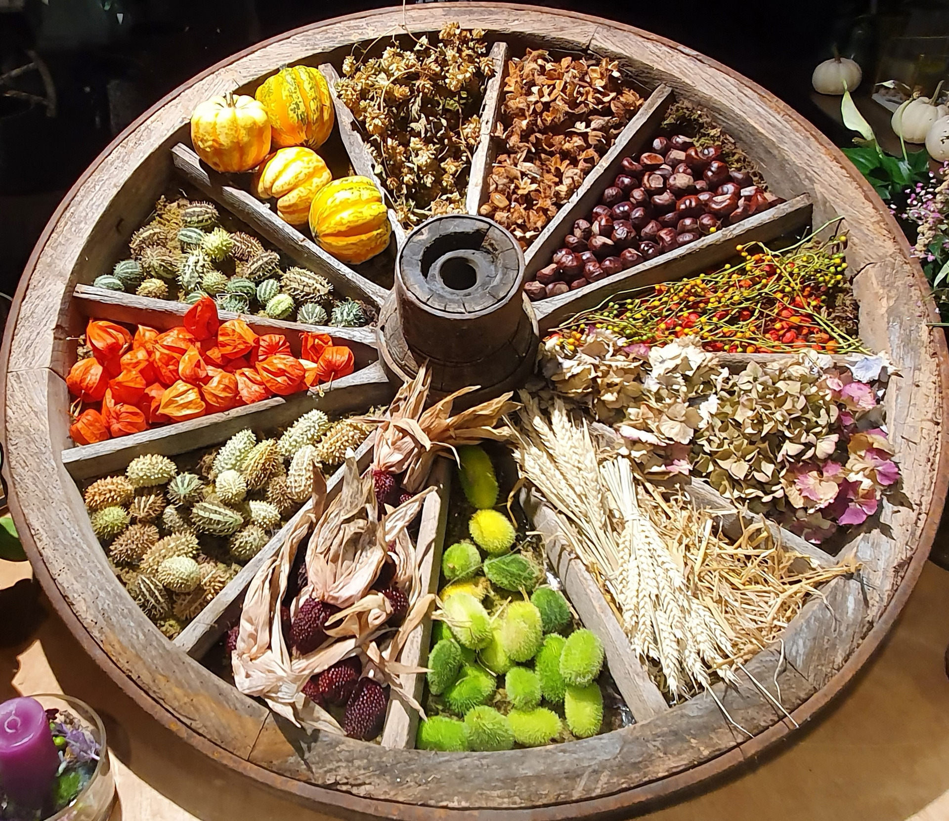 Ein Holzrad ist voller bunter Naturmaterialien, darunter verschiedene kleine Kürbisse, getrocknete Blumen, bunte Beeren und Samenkapseln. Die Anordnung zeigt eine Vielzahl an Texturen und Farben, die den saisonalen Reichtum der Natur widerspiegeln.