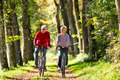 Zwei Menschen fahren mit dem Fahrrad einen Waldweg entlang.