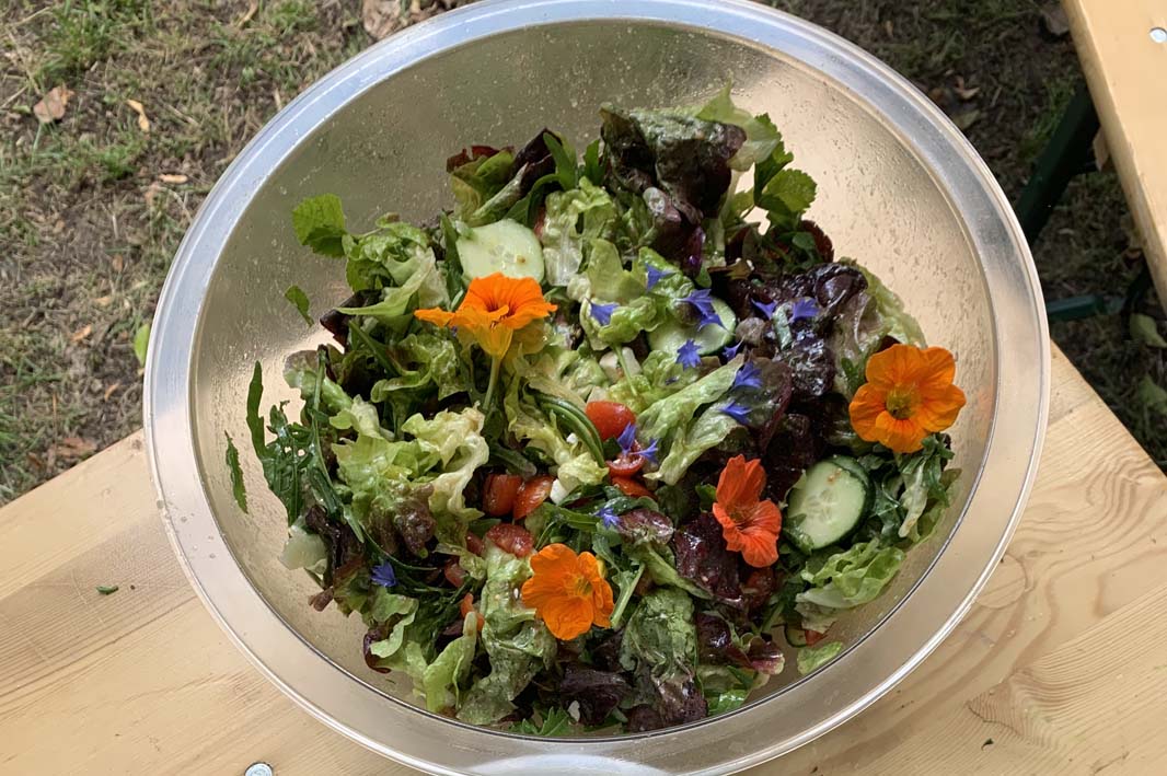 Das Foto zeigt eine Schüssel mit Blattsalaten und bunten Blüten