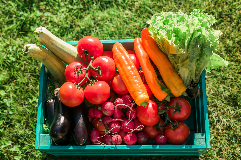 Das Foto zeigt eine Kiste mit verschiedenem Gemüse, darunter Wurzeln, Tomaten, Auberginen, Salat, Zucchini und Zweibeln.