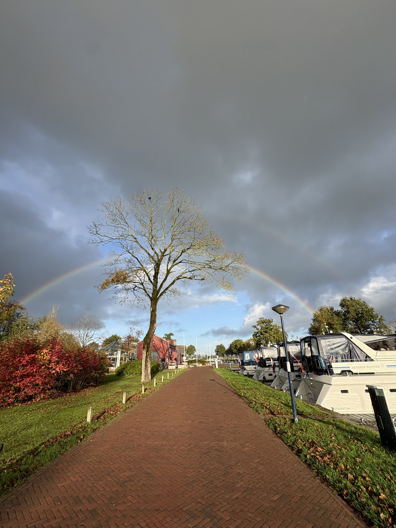 Joure Regenbogen Ein Fußweg verläuft entlang eines Yachthafens, mit Booten auf der rechten Seite. Über dem Weg spannt sich ein Regenbogen zwischen dunklen Wolken. links stehen bunte Sträucher und ein einzelner Baum ohne Blätter. Der Himmel ist teils klar, teils bewölkt.